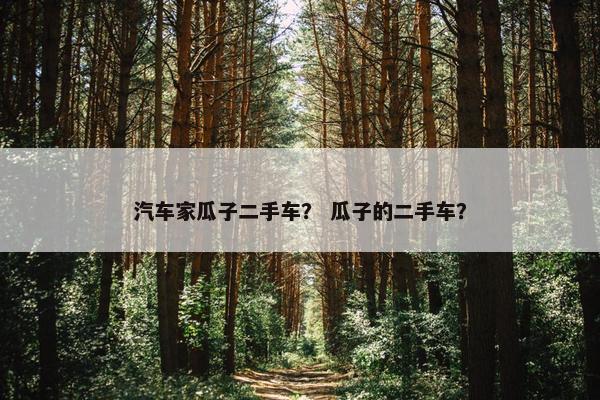 汽车家瓜子二手车？ 瓜子的二手车？