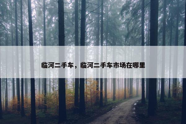 临河二手车，临河二手车市场在哪里
