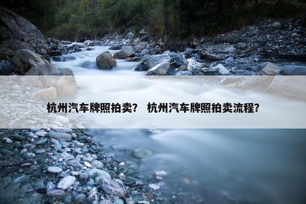 杭州汽车牌照拍卖？ 杭州汽车牌照拍卖流程？