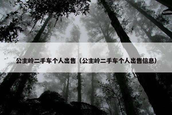 公主岭二手车个人出售（公主岭二手车个人出售信息）