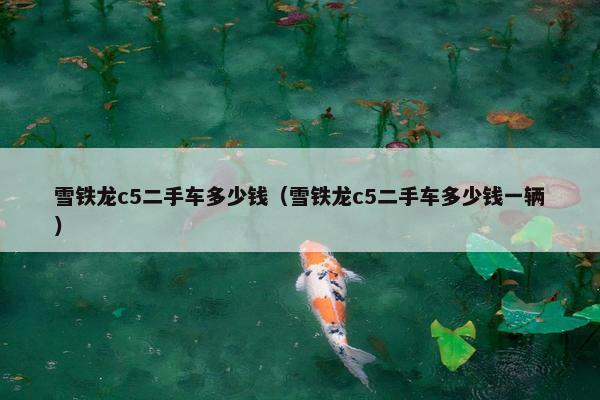 雪铁龙c5二手车多少钱（雪铁龙c5二手车多少钱一辆）
