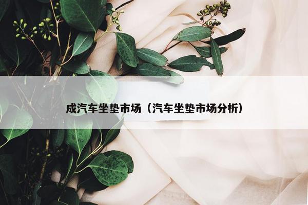 成汽车坐垫市场（汽车坐垫市场分析）