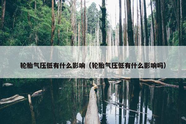 轮胎气压低有什么影响（轮胎气压低有什么影响吗）