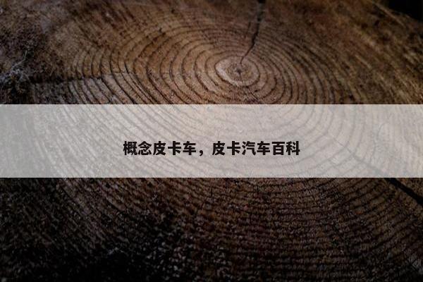 概念皮卡车，皮卡汽车百科