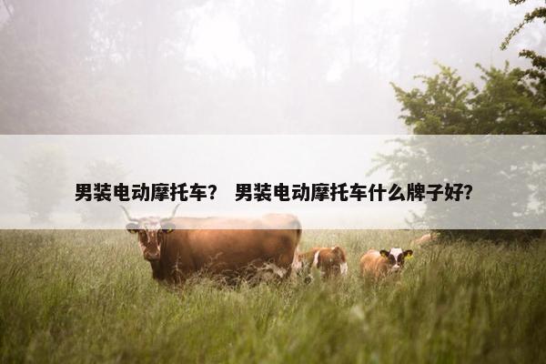 男装电动摩托车？ 男装电动摩托车什么牌子好？
