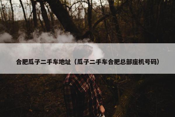 合肥瓜子二手车地址（瓜子二手车合肥总部座机号码）