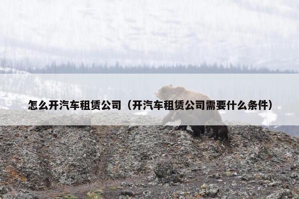 怎么开汽车租赁公司（开汽车租赁公司需要什么条件）