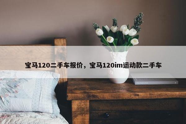 宝马120二手车报价，宝马120im运动款二手车