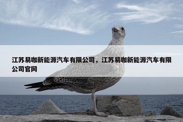 江苏易咖新能源汽车有限公司，江苏易咖新能源汽车有限公司官网