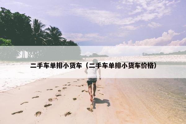 二手车单排小货车（二手车单排小货车价格）