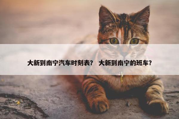 大新到南宁汽车时刻表？ 大新到南宁的班车？