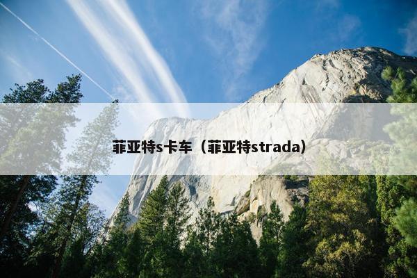 菲亚特s卡车（菲亚特strada）