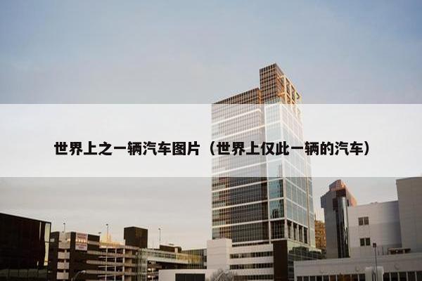 世界上之一辆汽车图片（世界上仅此一辆的汽车）