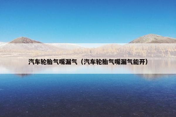 汽车轮胎气嘴漏气（汽车轮胎气嘴漏气能开）