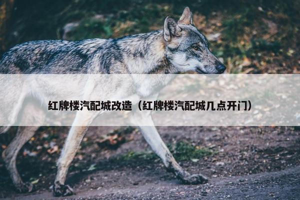 红牌楼汽配城改造（红牌楼汽配城几点开门）