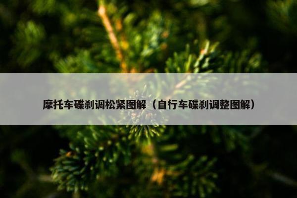 摩托车碟刹调松紧图解（自行车碟刹调整图解）