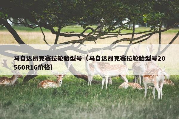 马自达昂克赛拉轮胎型号（马自达昂克赛拉轮胎型号20560R16价格）
