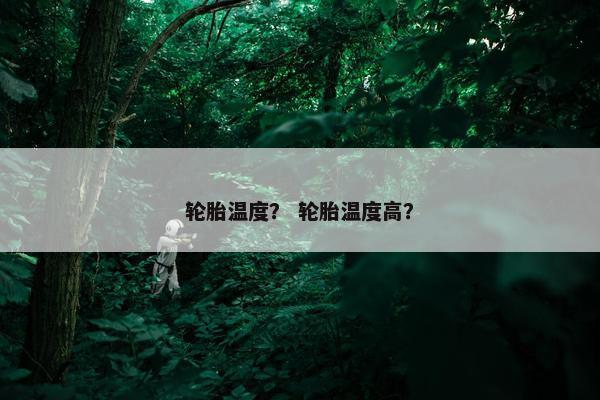 轮胎温度？ 轮胎温度高？