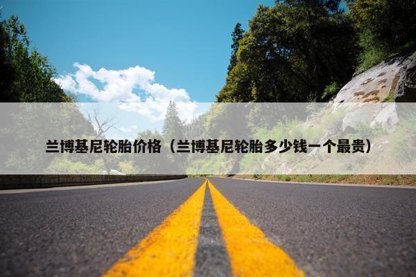兰博基尼轮胎价格（兰博基尼轮胎多少钱一个最贵）