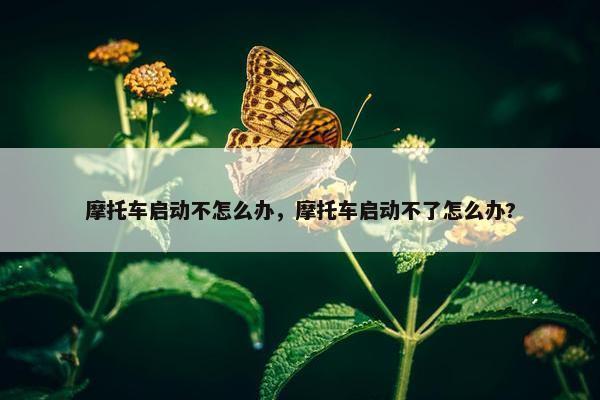 摩托车启动不怎么办，摩托车启动不了怎么办?