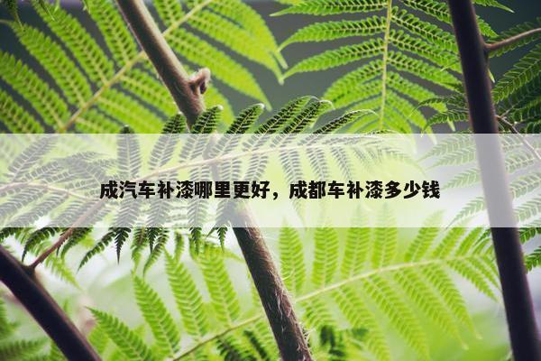 成汽车补漆哪里更好，成都车补漆多少钱