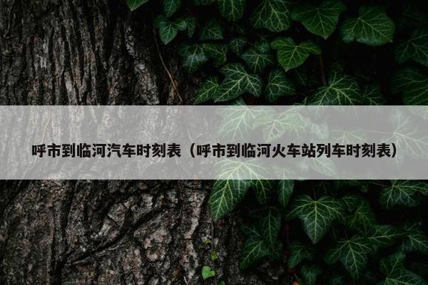 呼市到临河汽车时刻表（呼市到临河火车站列车时刻表）