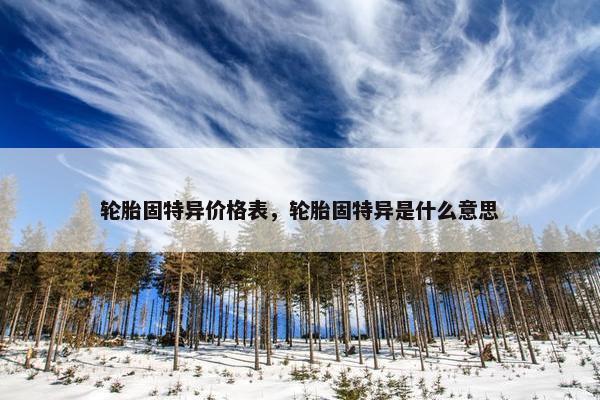 轮胎固特异价格表，轮胎固特异是什么意思