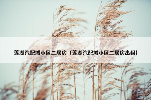 莲湖汽配城小区二居房（莲湖汽配城小区二居房出租）