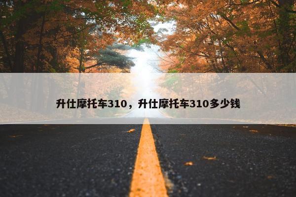 升仕摩托车310，升仕摩托车310多少钱