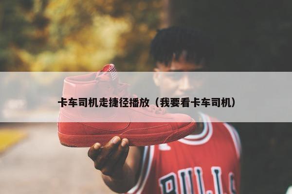 卡车司机走捷径播放（我要看卡车司机）