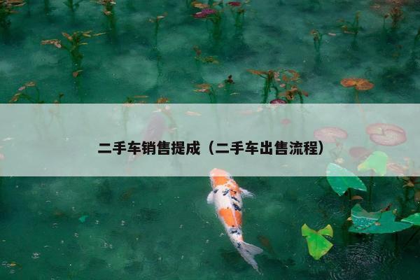 二手车销售提成（二手车出售流程）