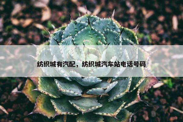 纺织城有汽配，纺织城汽车站电话号码
