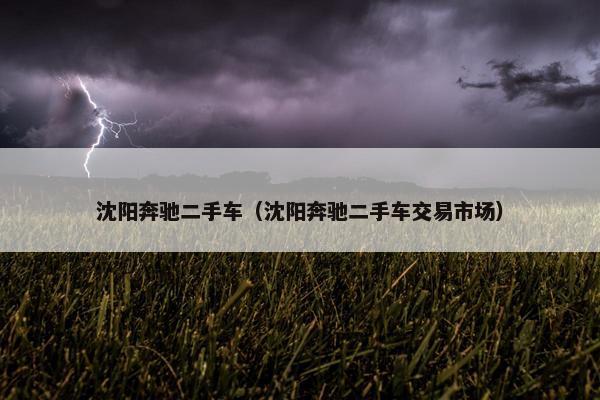 沈阳奔驰二手车（沈阳奔驰二手车交易市场）