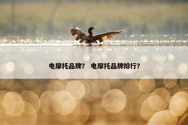 电摩托品牌？ 电摩托品牌排行？