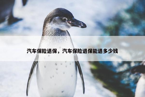 汽车保险退保，汽车保险退保能退多少钱