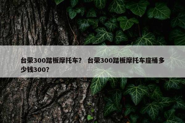 台荣300踏板摩托车？ 台荣300踏板摩托车座桶多少钱300？