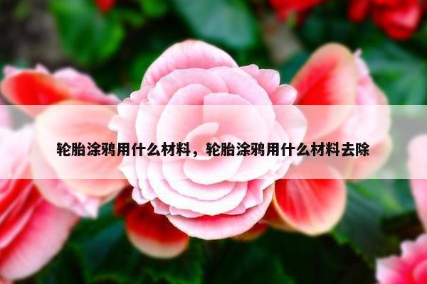 轮胎涂鸦用什么材料，轮胎涂鸦用什么材料去除