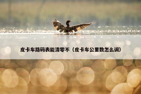 皮卡车路码表能清零不（皮卡车公里数怎么调）