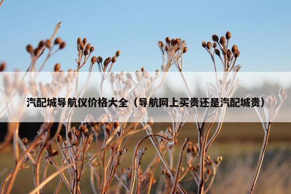 汽配城导航仪价格大全（导航网上买贵还是汽配城贵）