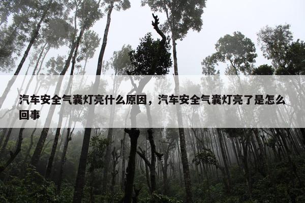 汽车安全气囊灯亮什么原因，汽车安全气囊灯亮了是怎么回事