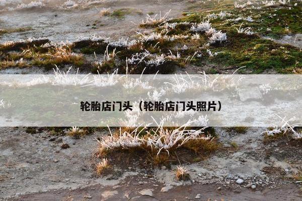 轮胎店门头（轮胎店门头照片）