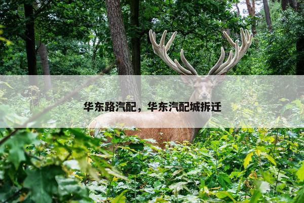 华东路汽配，华东汽配城拆迁