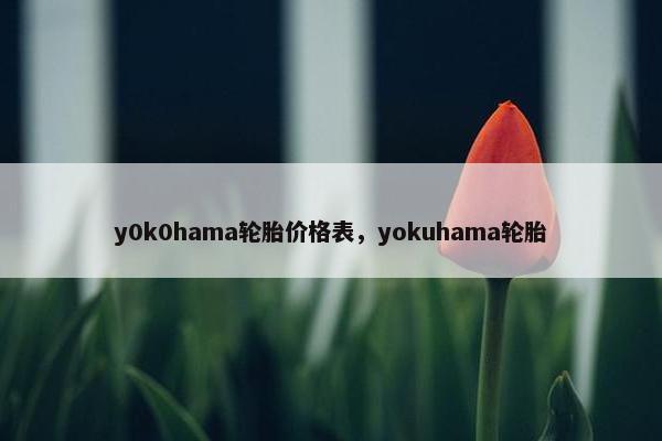y0k0hama轮胎价格表，yokuhama轮胎