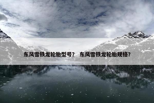 东风雪铁龙轮胎型号？ 东风雪铁龙轮胎规格？