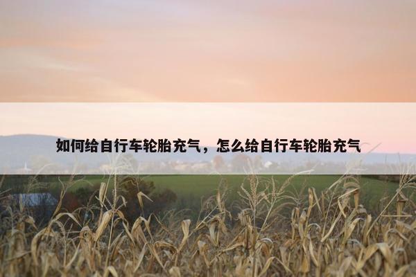 如何给自行车轮胎充气，怎么给自行车轮胎充气