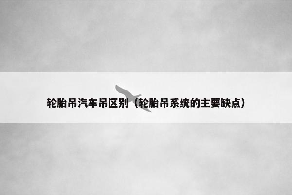 轮胎吊汽车吊区别（轮胎吊系统的主要缺点）