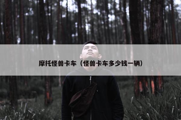 摩托怪兽卡车（怪兽卡车多少钱一辆）