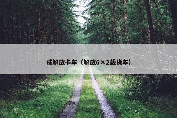 成解放卡车（解放6×2载货车）