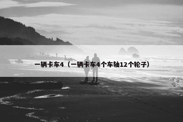 一辆卡车4（一辆卡车4个车轴12个轮子）