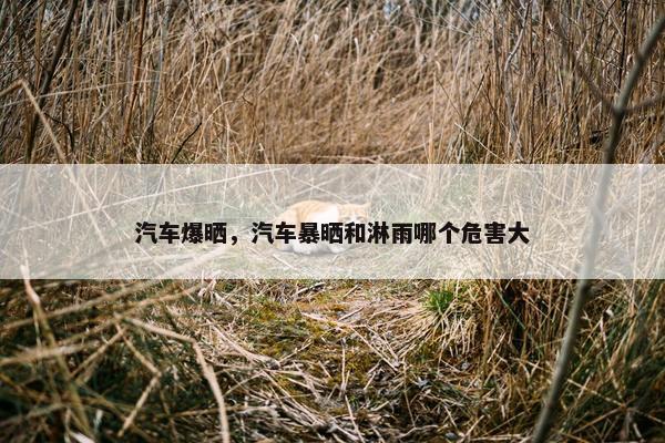 汽车爆晒，汽车暴晒和淋雨哪个危害大